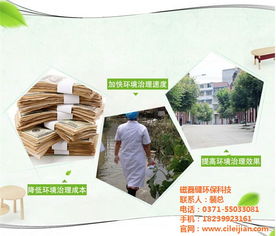 创新科技，清新环境 探索垃圾除臭的有效方法